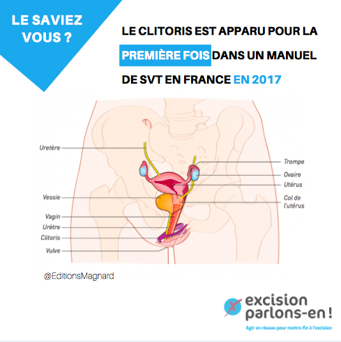 excisionparlons's tweet image. Le saviez-vous ? Le clitoris est apparu pour la première fois dans un manuel de SVT, en France🇫🇷, en 2017. 
🔵 Article de @le_Parisien qui y fait référence ➡ bit.ly/36id7nD

#ExcisionParlonsEn #AlerteExcision  

Crédit : Edition Magnard