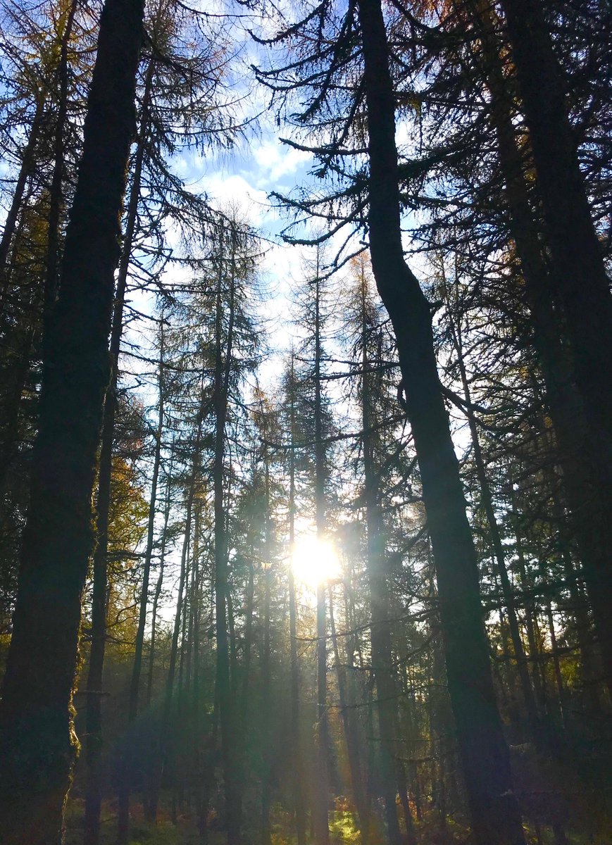 Sunset on the last location day of season 5!!! ⁦Thank you Mother Nature for making this season look so amazing 😁😁😁⁦<a href="/Outlander_STARZ/">Outlander Universe</a>⁩