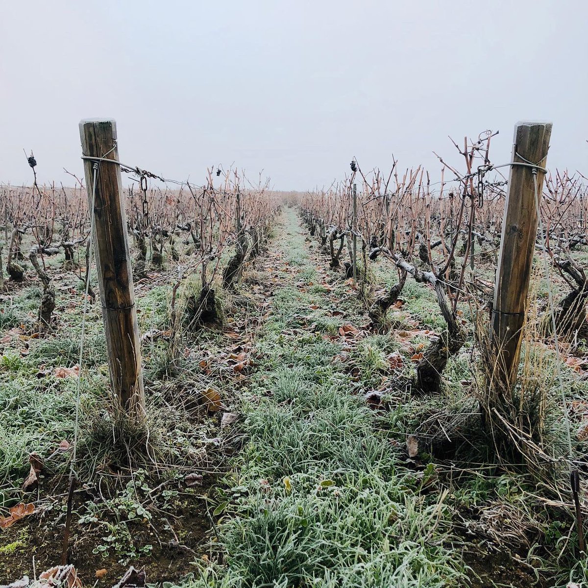 LACOURTE-GODBILLON tweet media