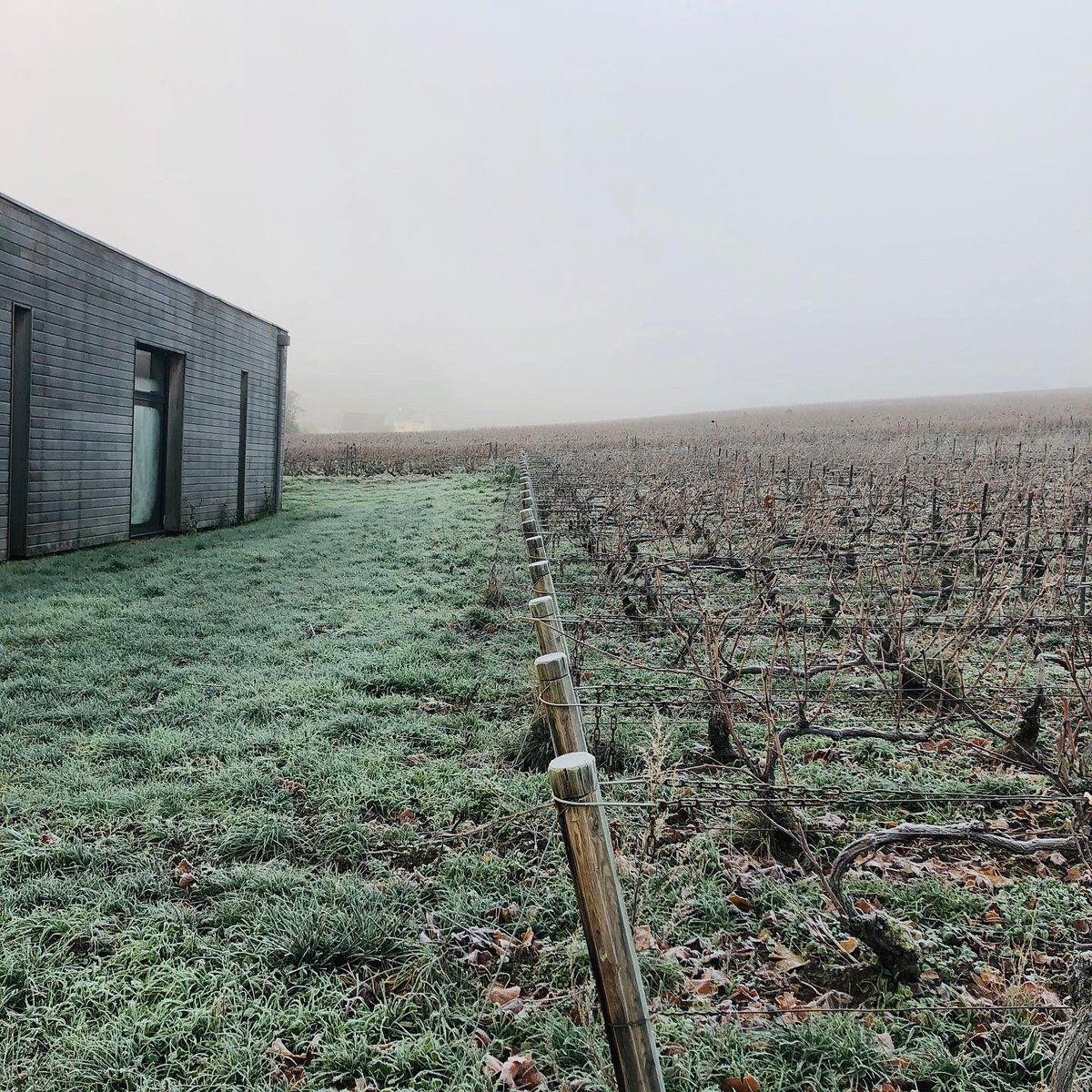 LACOURTE-GODBILLON tweet media