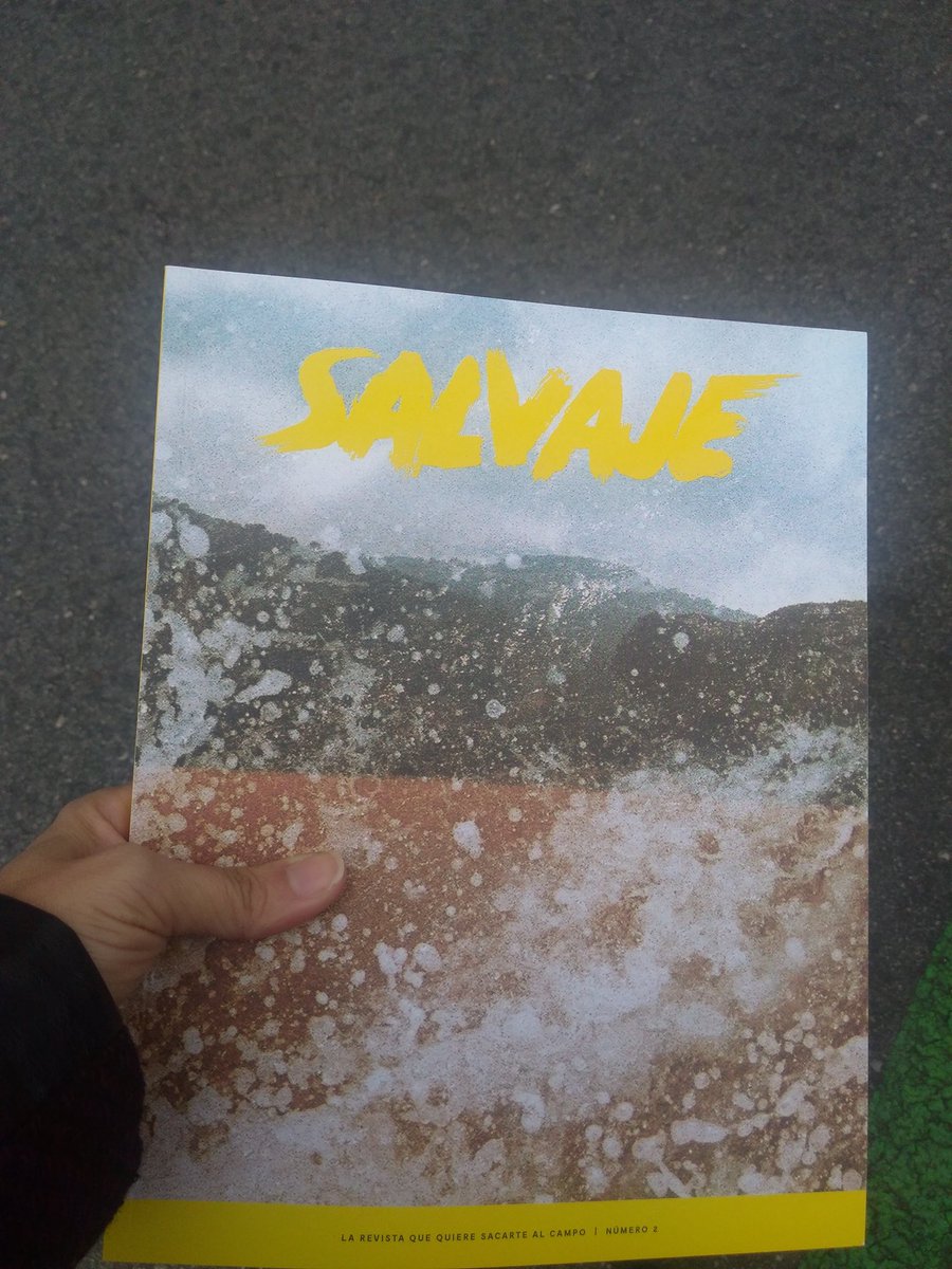 Lnasinh's tweet photo. Entre tanto asfalto viene bien que te quieran sacar al campo. Gracias @revista_salvaje #lecturas #simientes #haciaelorigen https://t.co/mJjBTkDfDU
