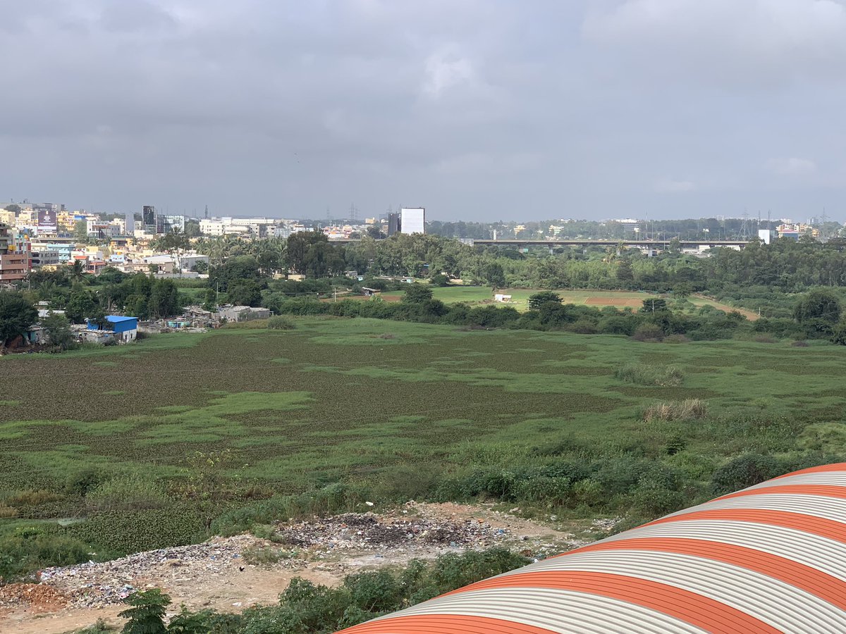 KonapanaAgrahara SY-51 Lake tweet media