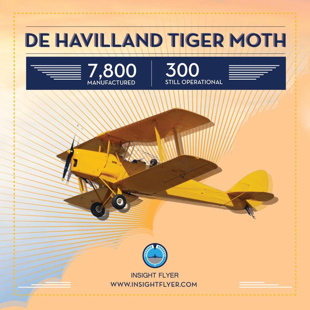 insightflyer's tweet photo. Named after the iconic #TigerMoth airplane, our 2nd batch "The Tigers" is now all set to embark on the journey of a lifetime! The Tigers begin their journey in December, and enter lion's territory in 2020 with flight training at South Africa's @43airschool. #InsightFlyer https://t.co/tZRfqnTORt