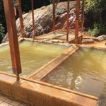 ｓｈｅｌｌｙのツイート画像