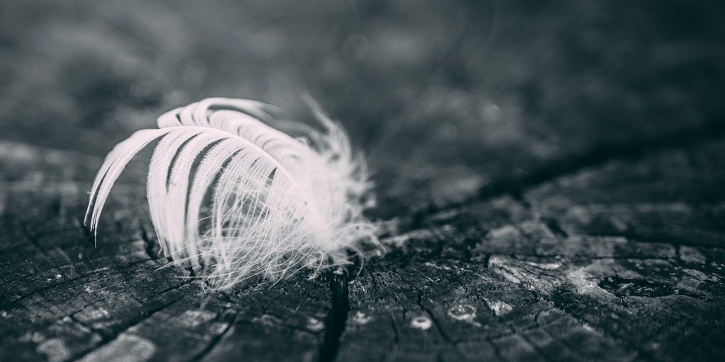 Kicking-off the long-listed stories is Flight by Anthea Morrison <a href="/antheamorrison/">Anthea Morrison</a> #amreading #flashfiction reflexfiction.com/flight-flash-f…