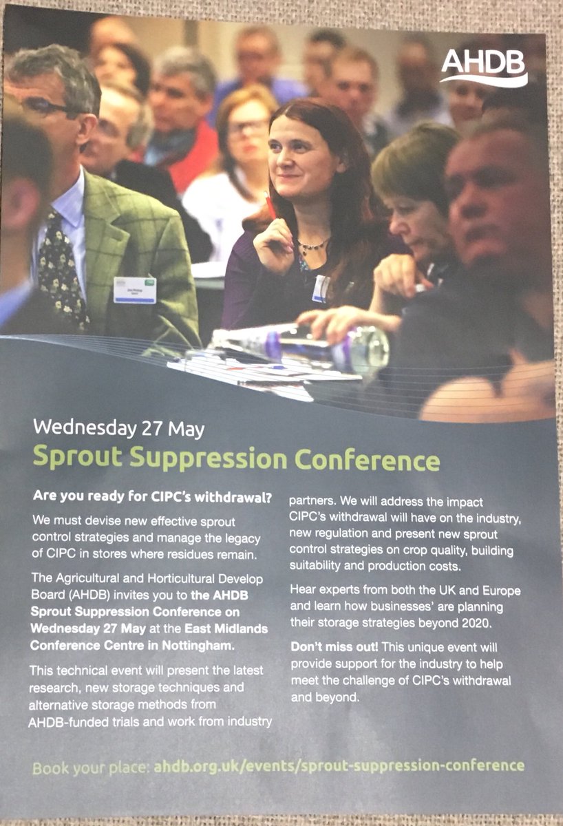 Kim Davie tweet media