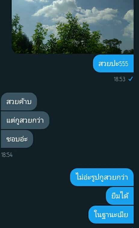 หมูขิงเเมว tweet media