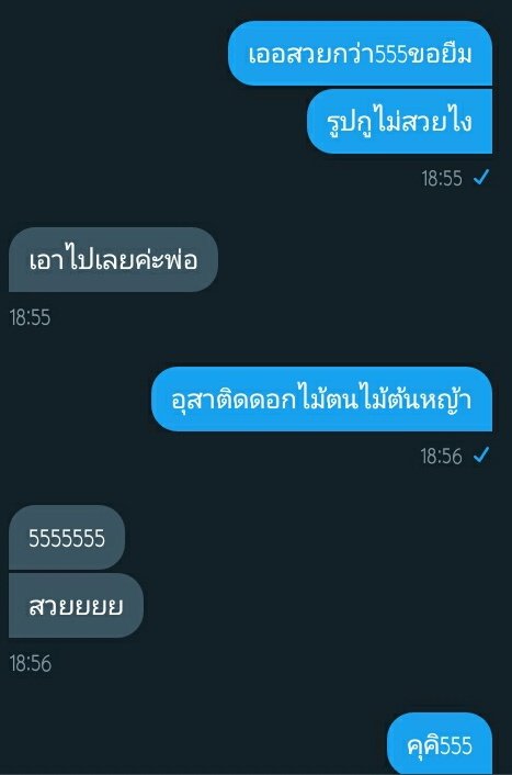 หมูขิงเเมว tweet media