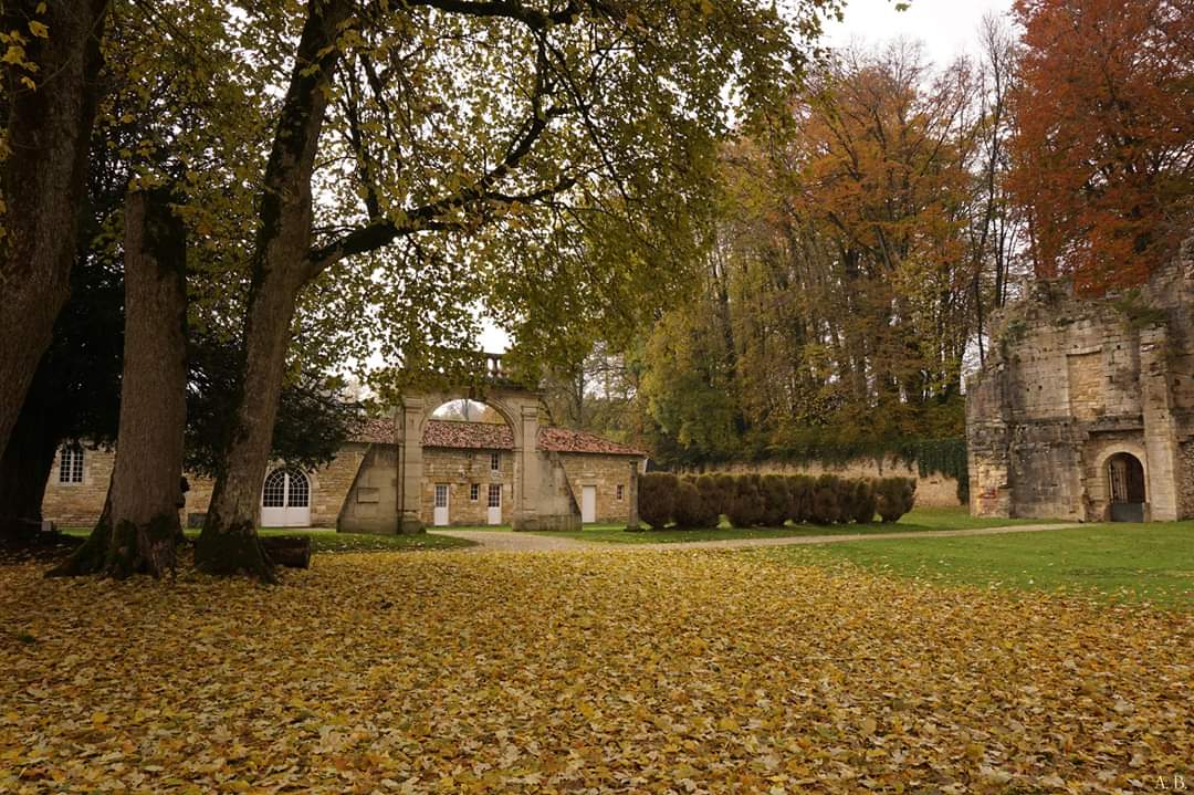 abbaye3f's tweet image. L'automne à l'abbaye de Trois-Fontaines 🍁🧡🍂

#marne #hautemarne #saintdizier #champagne #grandest  #patrimoine #automne
@fond_patrimoine @bernstephane