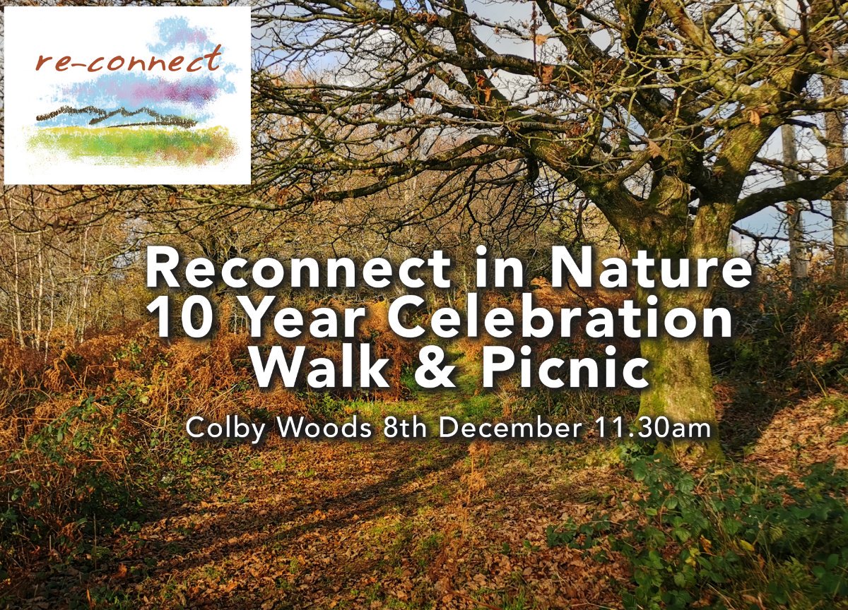 Join us for a walk in the woods to celebrate 10 years of Reconnect in Nature - mailchi.mp/72b37280f1d4/a…