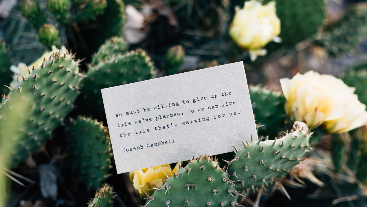 PrismaticGarden's tweet photo. "We must be willing to give up the life we've planned, so we can live the life that's waiting for us."

― Joseph Campbell

#lifeadvice #lifematters #findingmeaning #findingpurpose #josephcampbell #josephcampbellquotes #wisdomwednesday #prismaticgardens https://t.co/CBj115Sa9Y