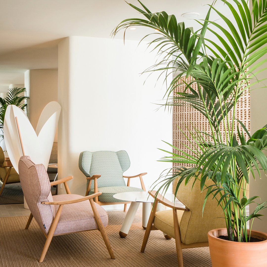 LagranjaCollection tweet media