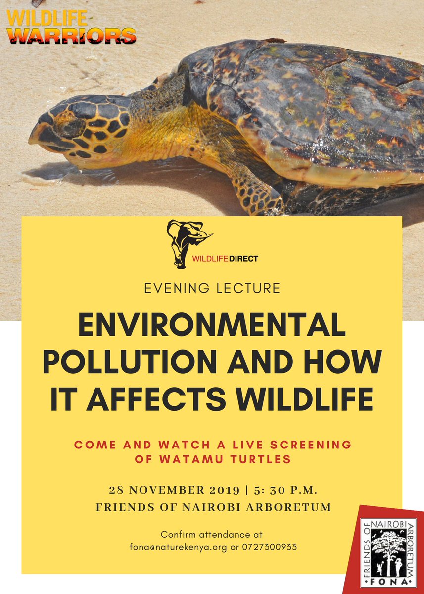 It is our last lecture this year and you don't want to missout. Welcome to a live screening of Watamu turtles by Wildlife Warriors at the Nairobi Arboretum