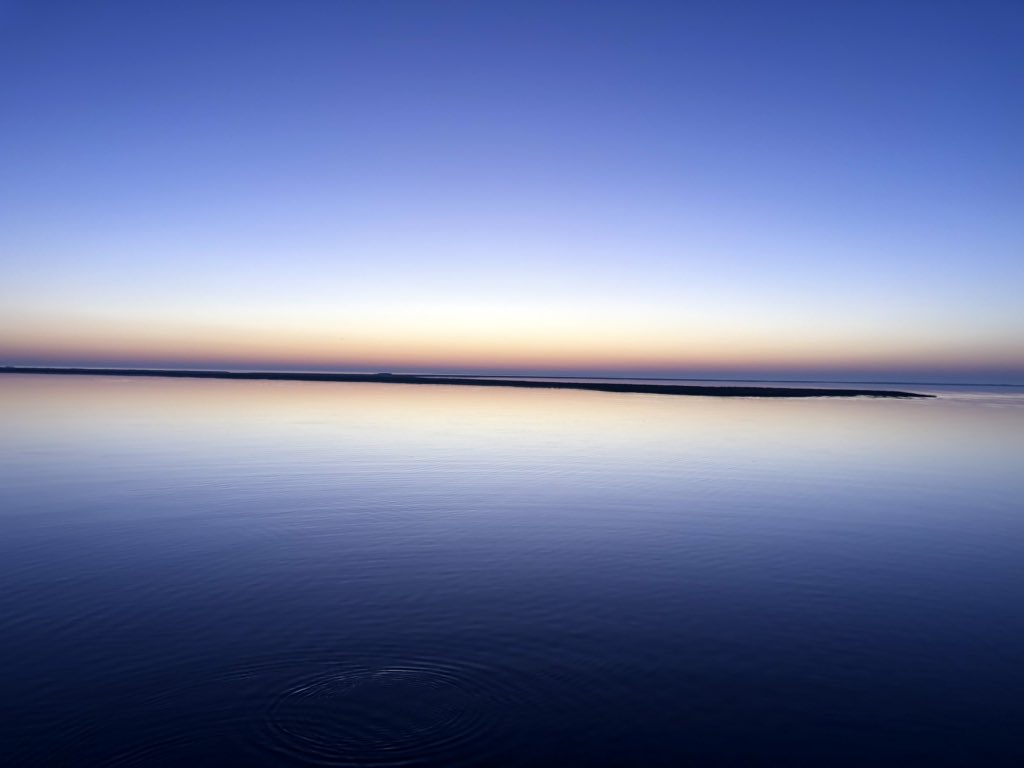 LOATV Show tweet media