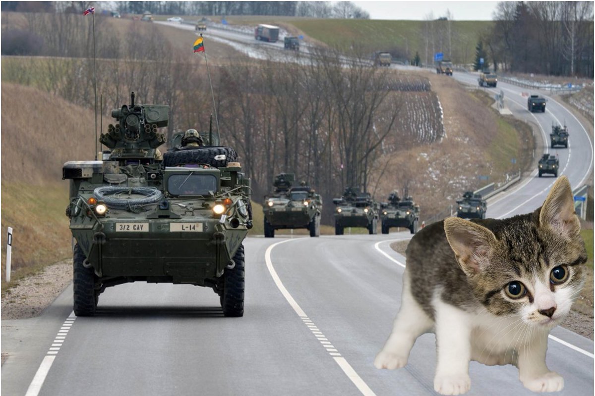 SizeableF's tweet image. Cat provides vital support to Exercise Dragoon Ride.
