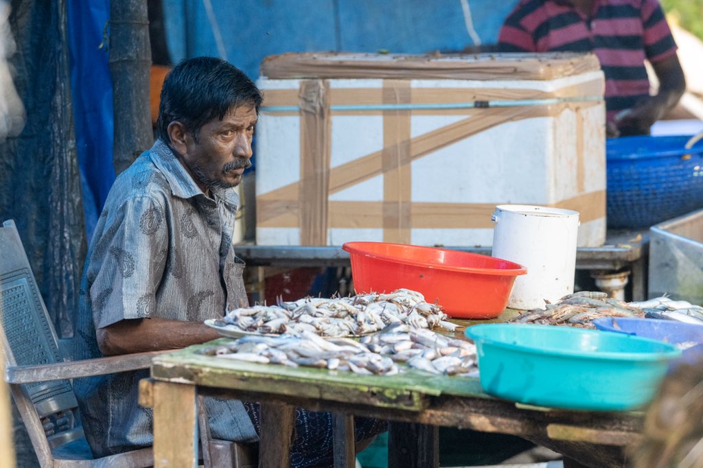 visitwithus's tweet photo. Today we arrived at Cochin, India. We took a local tuk tuk to explore the area. I’m becoming a bit addicted to photographing people. After all, one picture can tell so many stories. 😆 @AzamaraQuest @Azamara #ExploreFurther #sponsoredtrip #destinationimmersion https://t.co/dlfD4mxvkV