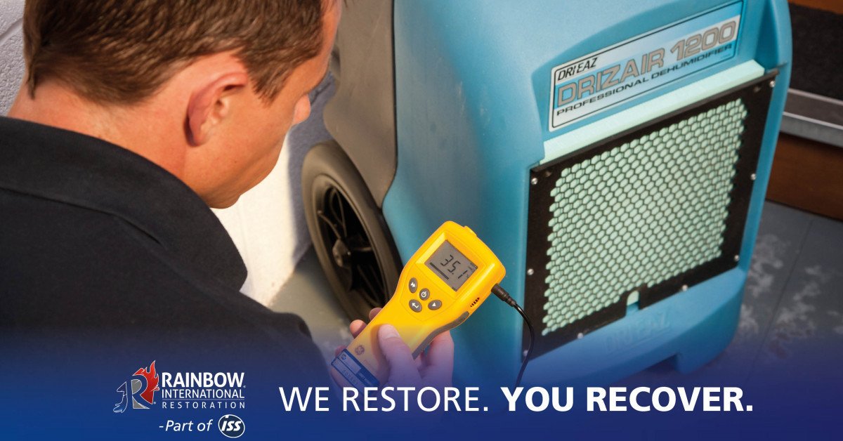 Rainbow Restoration UK tweet media