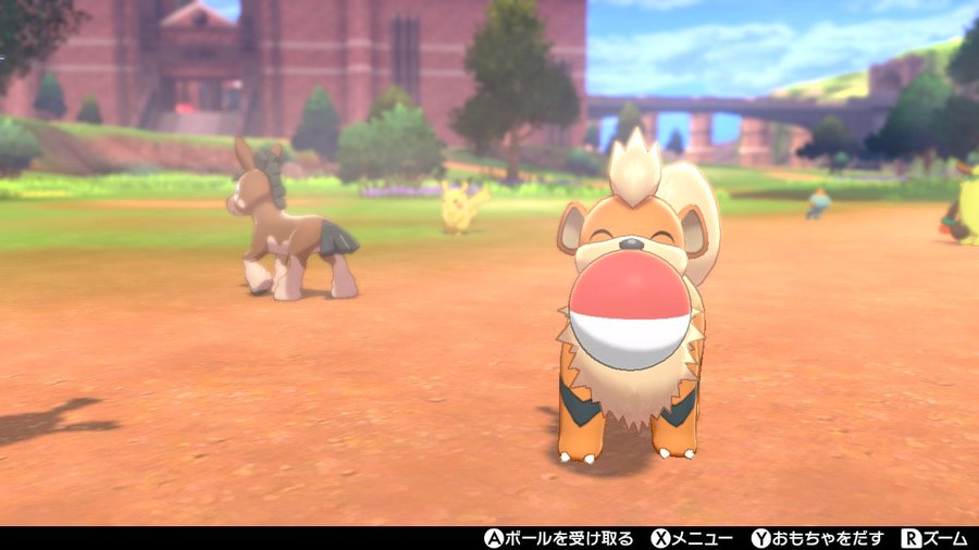 ポケモン剣盾 初心者おすすめの 旅パ ポケモン４選 駆け出しゲーマー見聞録