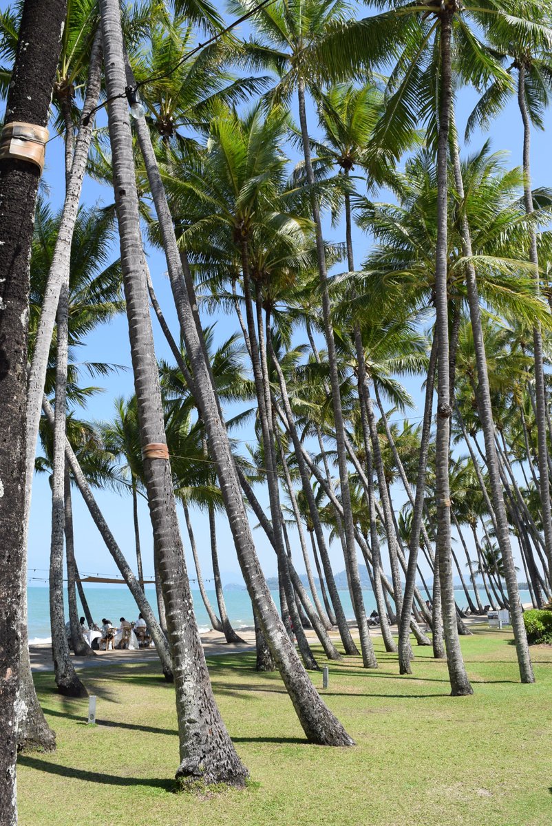 j_mylne's tweet photo. Just done site inspecting #Cairns and @CCC_Cairns for @IPMBcongress. Gastronomy of a major capital, small-town friendly, tourist-town service, but laid-back, outdoor vibe of the tropics. Was just out of peak season, water 26C and stingers not arrived. #IPMB2021 is gonna be great! https://t.co/jgDwvHluC7