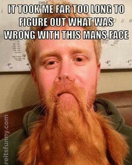 #BEARD #bearded #BeardGang #BeardedMan #beardlover #beardlifestyle #beardmakesevwrythingbetter #beardedmen #beards