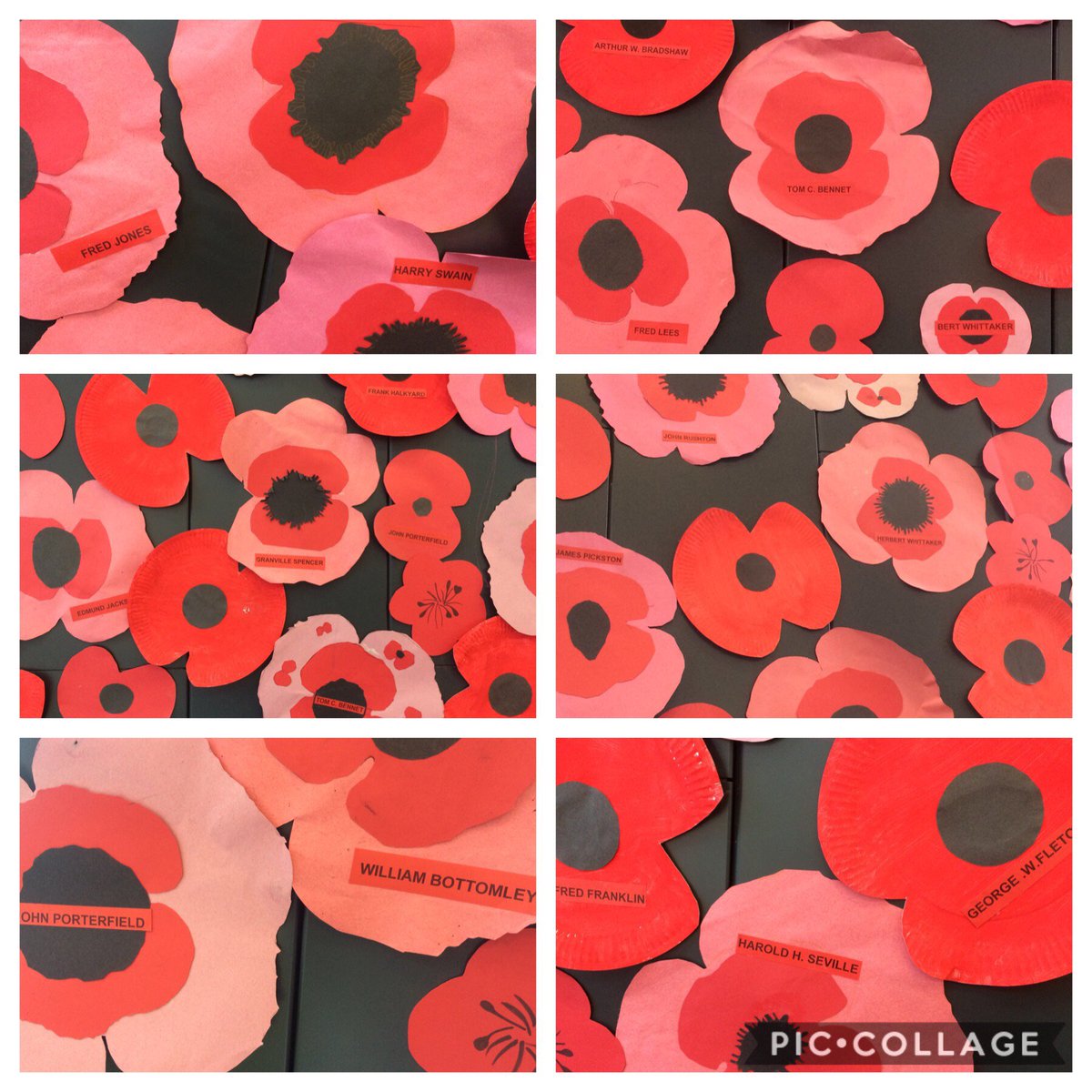 TOANART2's tweet photo. In remembrance of our courageous local men of past conflicts.
Poppies made by students during their Art lessons.
@OldhamAcademy https://t.co/6BmZpKbvGL