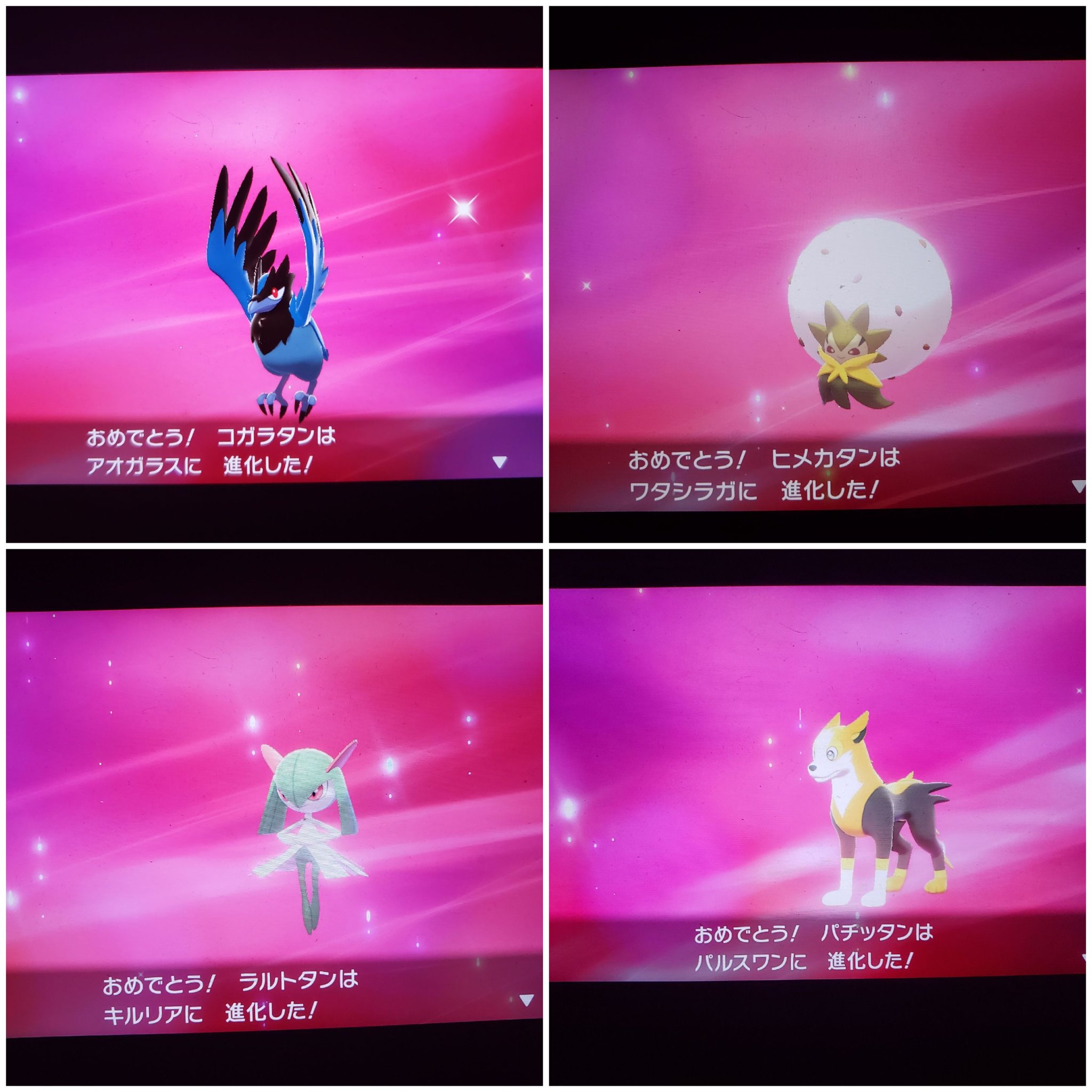 Amazinghisa على تويتر ポケモン剣盾日記12 5番道路でポップと4回目のバトル 旅メンバーも固まり 次々と進化して来ました ポケモン剣盾 ポップ アオガラス ワタシラガ キルリア パルスワン