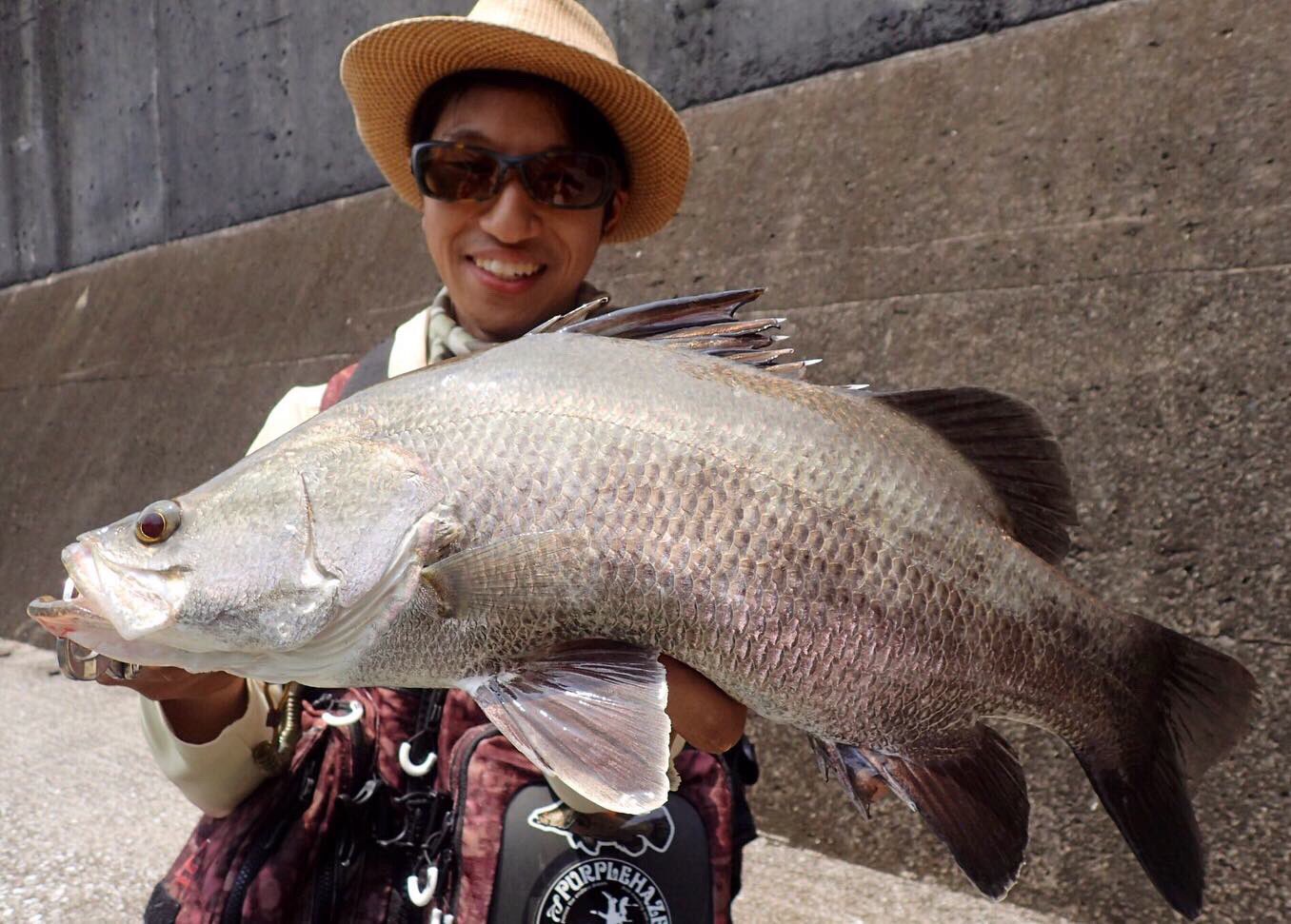 ポンテーン Auf Twitter これを見た人は春夏秋冬の4枚を貼れ 冬 台湾の釣り堀でグルーパー 春 島根でビッグベイトシーバス 夏 高知でデイアカメ 秋 播州でシーバス T Co Kk32l6nnof Twitter