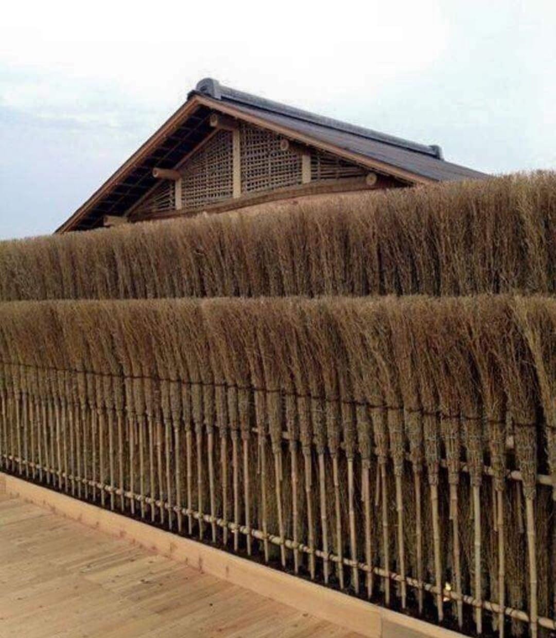 EJ0_3RVXUAAG1M_.jpg:large