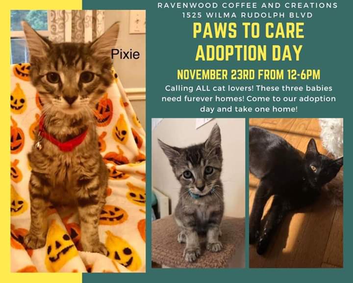 APSU Paws to Care tweet media