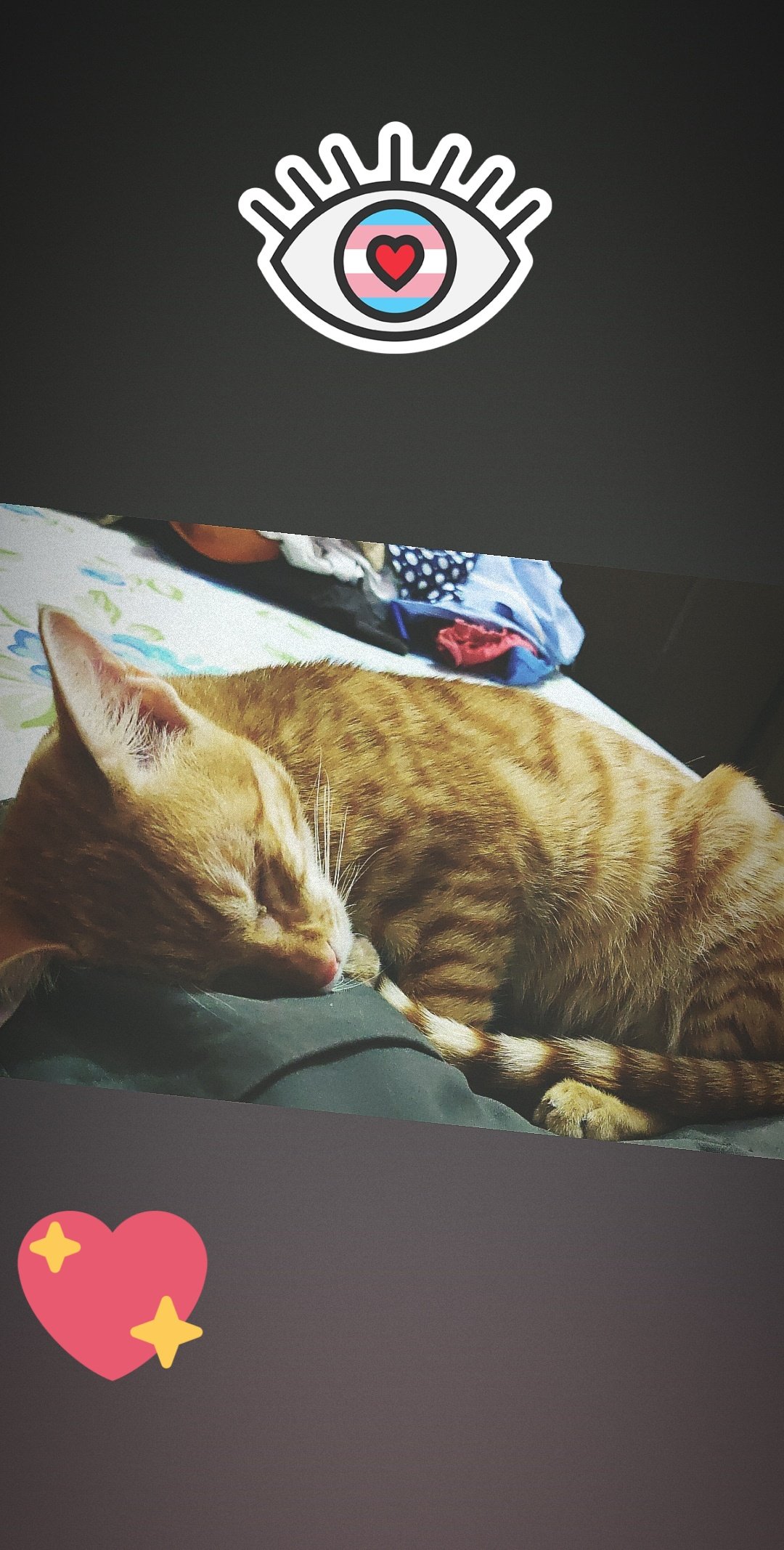 Petlust  / X