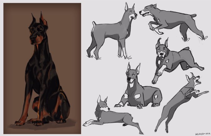 Dobermanのtwitterイラスト検索結果 古い順