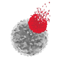 theNCI's tweet photo. Researchers who are part of the #CancerMoonshot are meeting today in Maryland. Please follow #CMCM19 for updates. More: https://t.co/2bJB1z58oA #CancerResearch https://t.co/E5CUq0fNLk