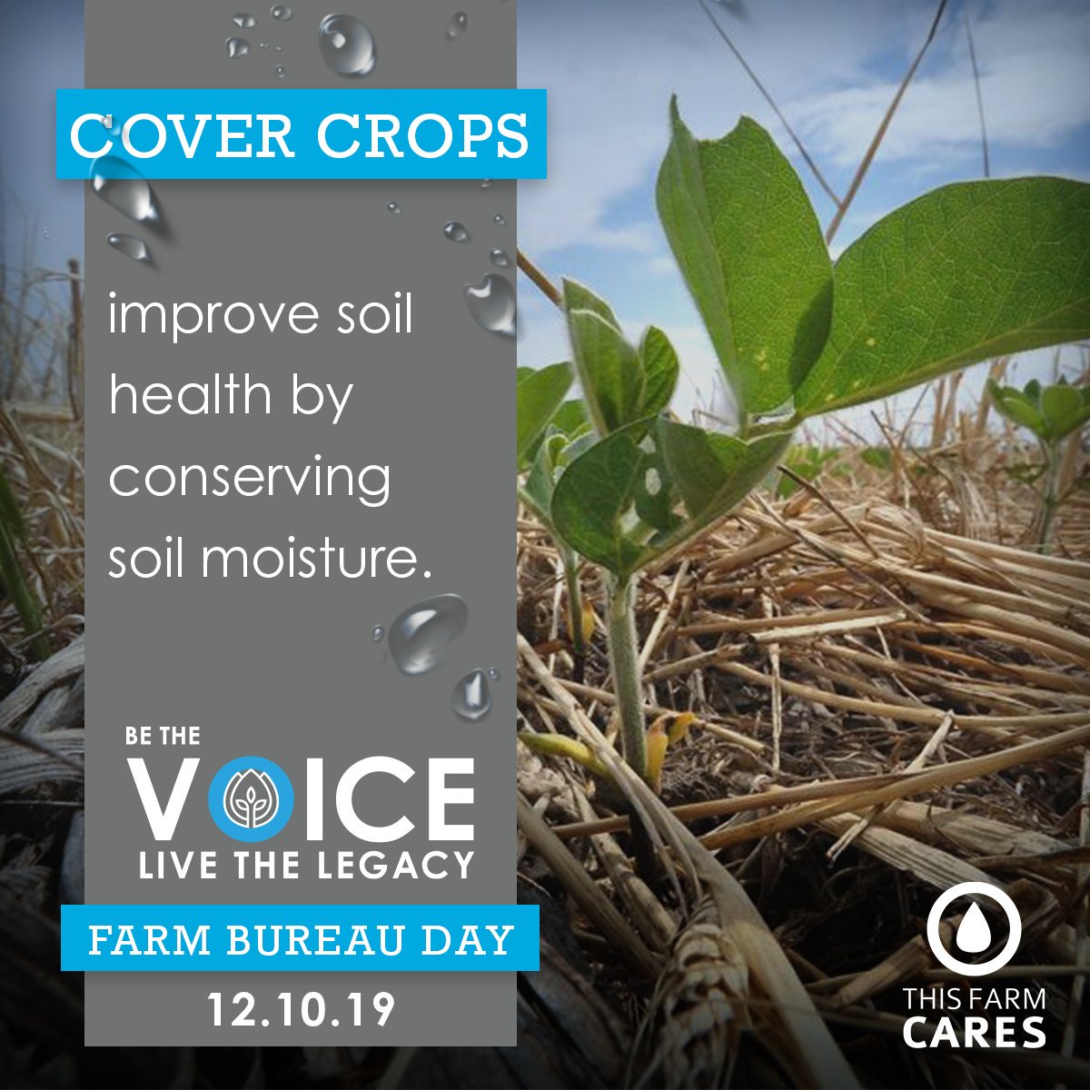 FlaFarmBureau's tweet photo. Farmers and ranchers use #BestManagementPractices to conserve our natural resources. #CoverCrops provide multiple benefits to soil health. Join us on Dec. 10 to #BetheVoice for #SoundWaterPolicy #VoiceofAg https://t.co/869WOEDmRs