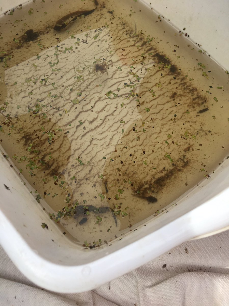 Rad field trips! <a href="/es_parkside/">THEParksideES</a>