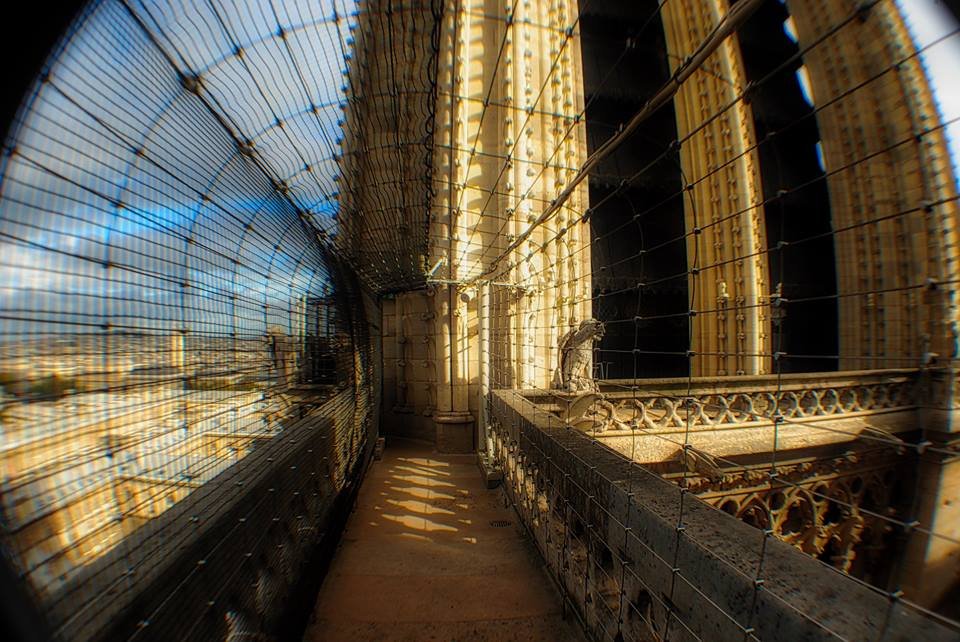 Notre Dame Cathedral October 2017