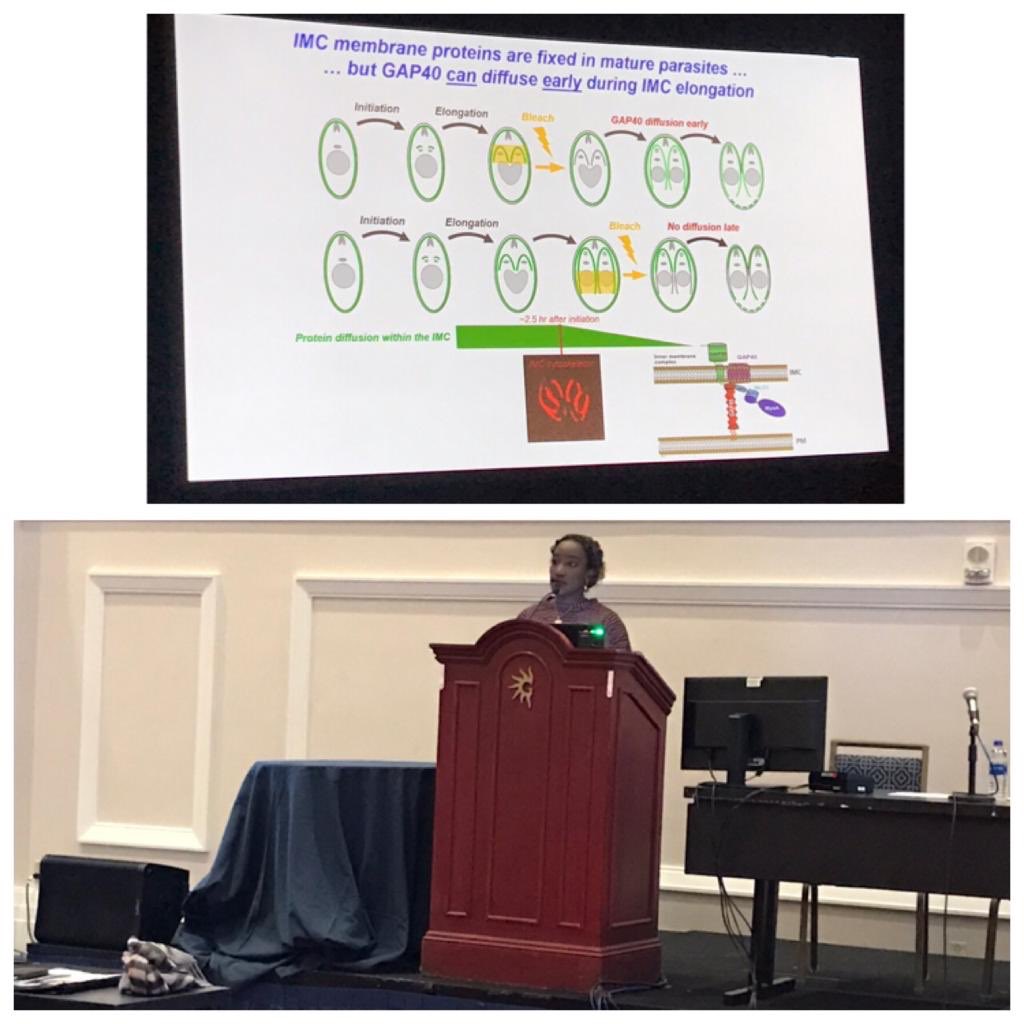 Abdoulaye DJIMDE tweet media