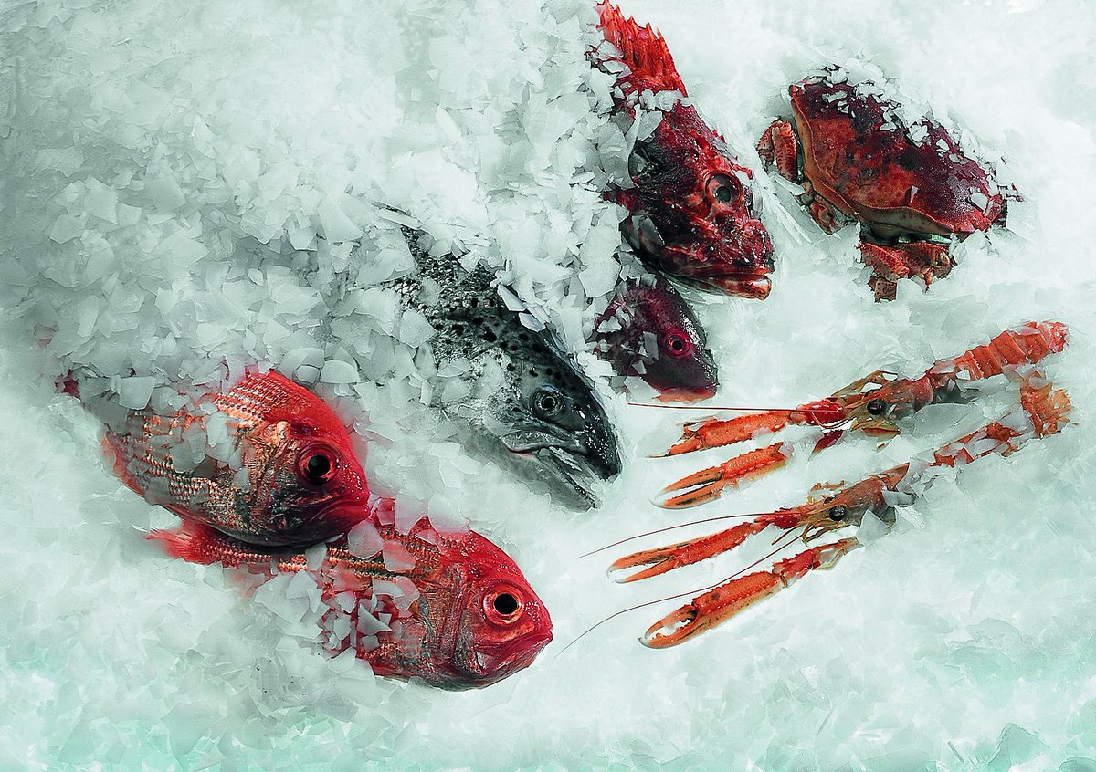 Visit Marel’s stand 307-311 at the Pacific Marine Expo to explore #fish processing innovations. If you’re also attending our Demo Days event at Pier 91 – just 15 minutes away – we offer free transportation between the two venues (21-22 Nov). bit.ly/PacificMarineE…