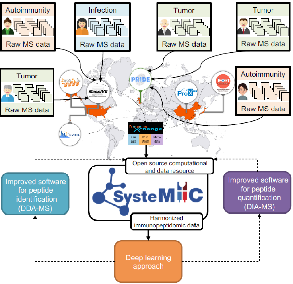 In Press: Dr. Juan Antonio Vizcaíno of <a href="/emblebi/">EMBL-EBI</a> and colleagues discuss the field of immunopeptidomics and how the Human Immmunopeptidome Project (HIPP) will stimulate new scientific discussions and drive precision medicine. mcponline.org/content/early/…