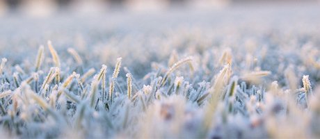 Catterick Garrison Football Centre tweet media