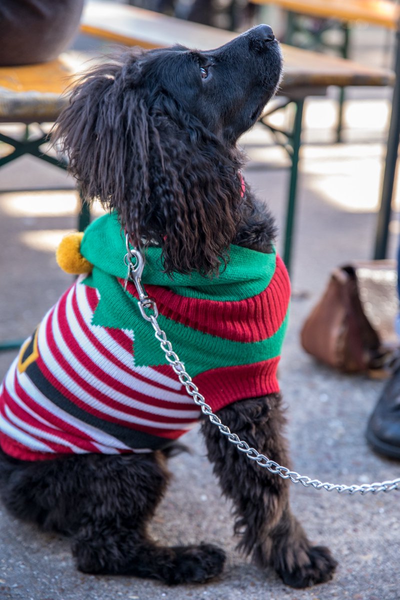 We're bring back #eatnorth for the final time this year, with a Christmas edition and all this:

🍽️ Little Rasco
🍽️ <a href="/toasted_so/">So Toasted</a>
🍽️ <a href="/TheYBCo/">Yorkshire Burrito Co</a>
🎂 <a href="/copperspooncake/">Copper Spoon Cakery</a>
🍸 <a href="/RabbitHoleTCS/">Rabbit Hole Coffee</a>
🎨 Print North

Why not sign up to our brewery tour as well? 👉 tinyurl.com/w8zdyb3