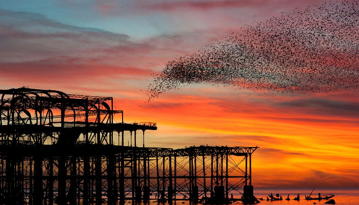 The Open University tweet media