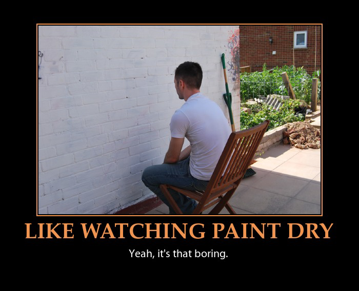 RetiredmilL's tweet photo. @CaptainLives I'm going to miss out on watching the impeachment debacle.

I have MORE important things to do which is to watch paint dry on a wall. https://t.co/wihQ3u0oJB