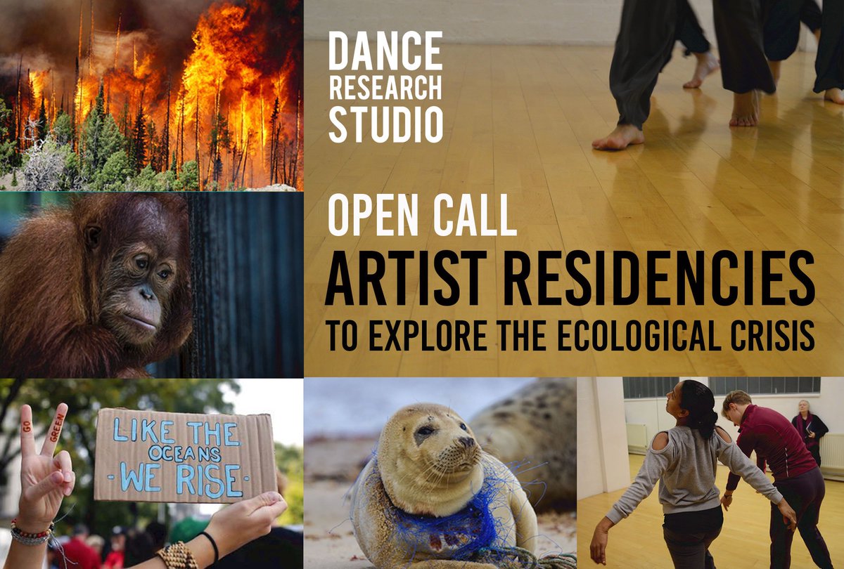 We are pleased to announce an #opencall for #DRSArtistResidencies Exploring the Ecological Crisis'. 
Submission Deadline: December 12th, 2019
For more information: danceresearchstudio.com/news-and-events