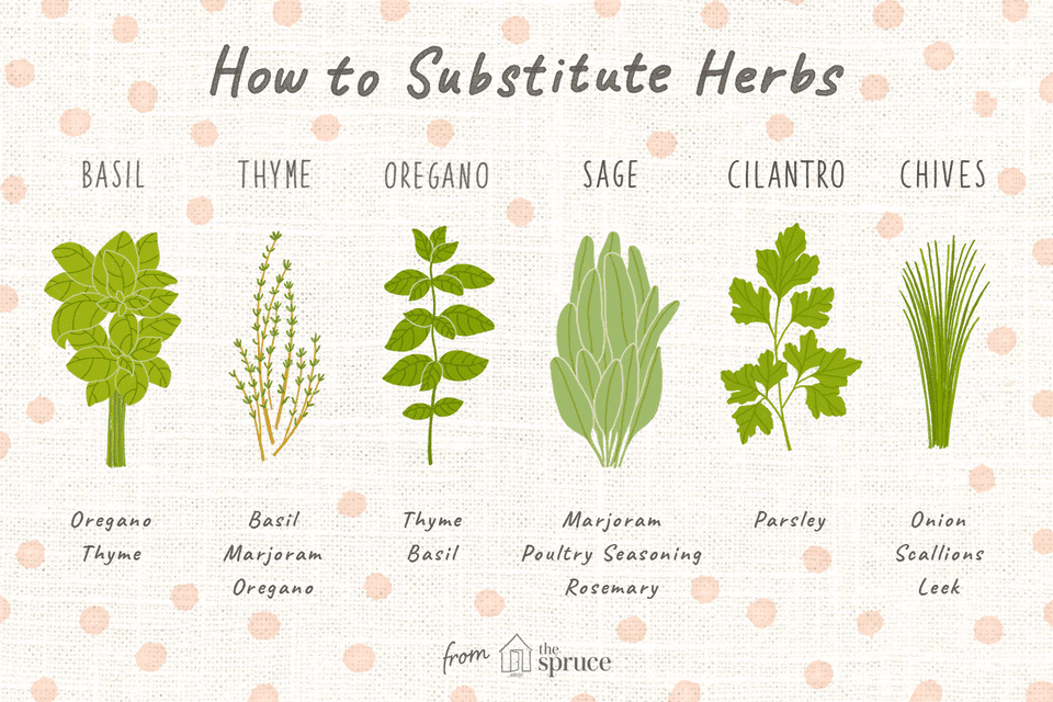 PlantCreations's tweet photo. Don't have the right herb for your recipe? Not to worry...you can substitute! #recipes #herbs https://t.co/6rzjZByhHr