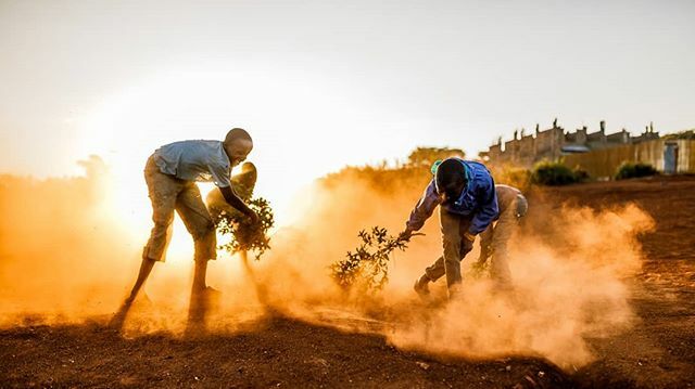 Stories from Kibera tweet media