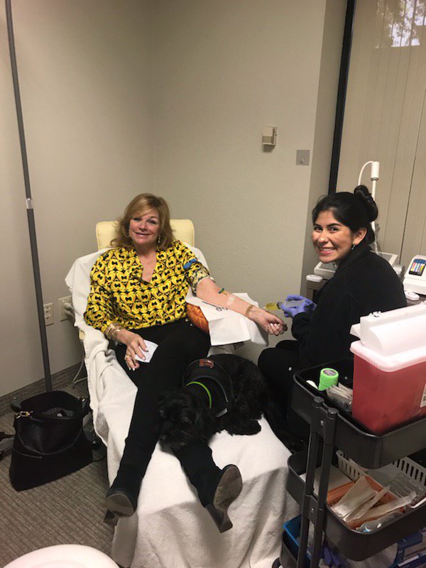 DrEversull's tweet photo. Nutrients administered IV are many times more effective than when taken Orally. Noet helping Lori and Chelsea with IV Therapy #ivtherapy #handmadehealth #ivnutrienttherapy https://t.co/RAvGi0qCIe
