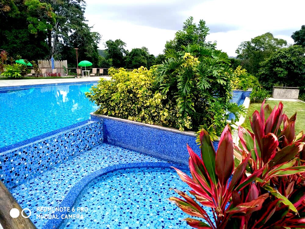 MampoteRanchs's tweet photo. "la mitad de la belleza depende del paisaje, la otra mitad de la persona que mira.".
.
.
Escríbanos a ventas.mampoteranch@gmail.com
.
.
#FelizMiercoles #piscina #Naturaleza #poolday #paisajes #eventos #hospedaje https://t.co/H5muF6pcqP