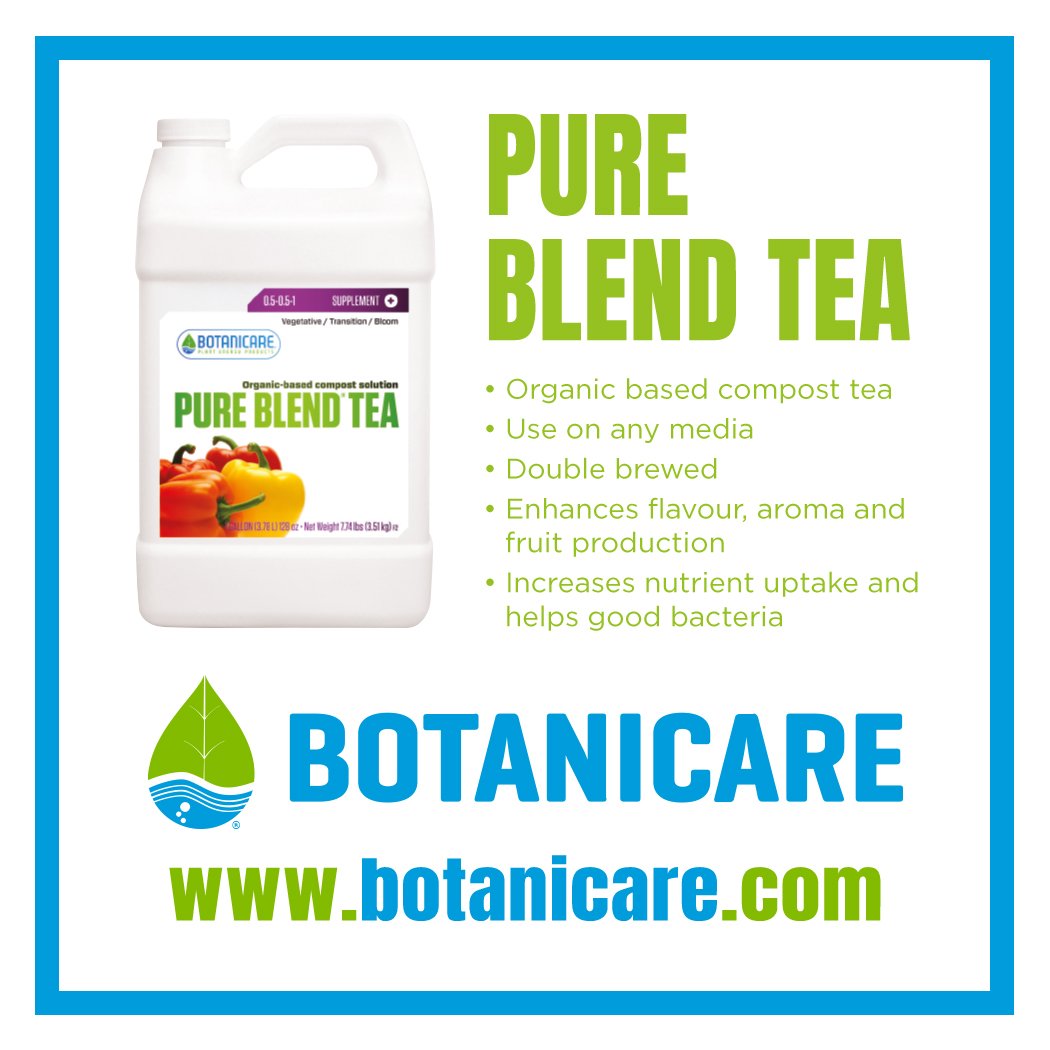 HydroGardenLtd's tweet image. PURE BLEND TEA is an organic-based compost tea which increases beneficial microbial activity in any media. This aids nutrient uptake and enhances flavour, aroma and fruit production.

#Botanicare #PureBlendTea #CompostTea #Additive #NutrientUptake #Hydroponics #HydroGarden