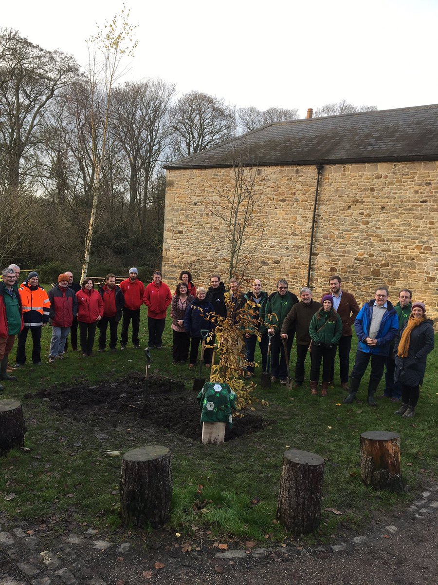 Planting of Hornbeam from @treesplease1 to mark 100years of @ForestryComm at National Trust Gibside.