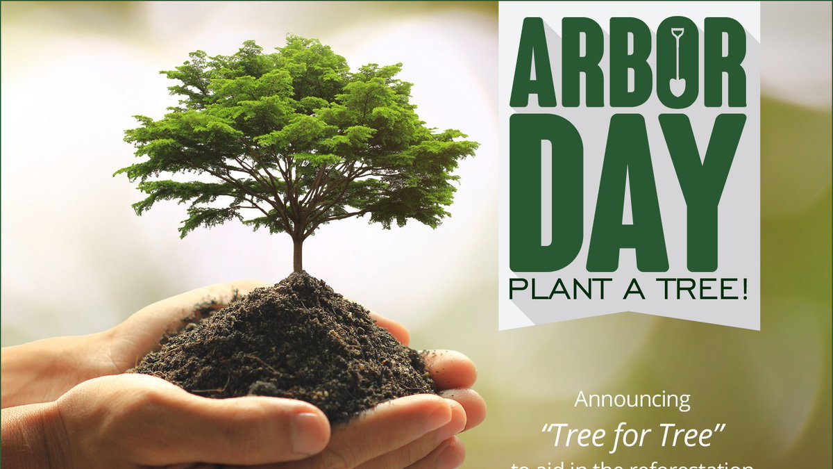 KyoceraMid's tweet photo. Want to join us in giving back to the environment? Kyocera Mid Atlantic has teamed up with the @arborday foundation. Contact us today for more information, and let us plant a tree in your name! #TreeForTree #ArborDay #treeplanting #environmentalawareness https://t.co/n89EJITQkQ